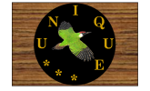 Our Unique Stuff 